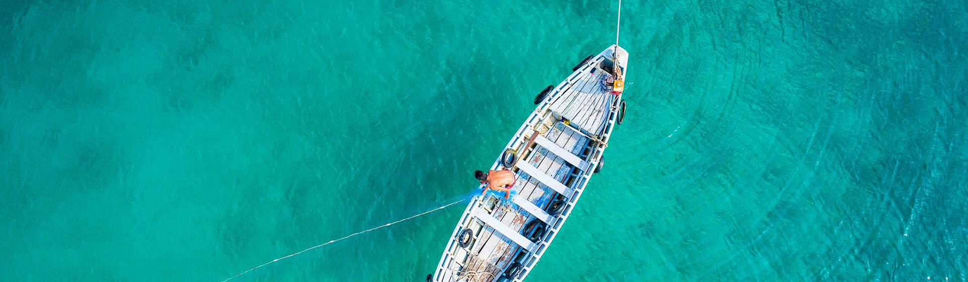 Liên hệ FantaSea Việt Nam