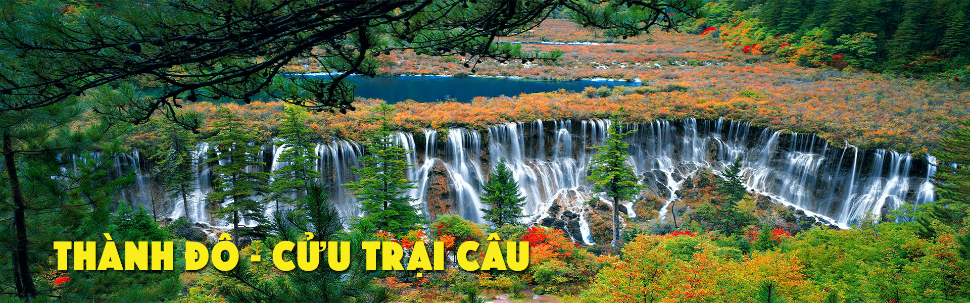 Thành Đô Cửu Trại Câu