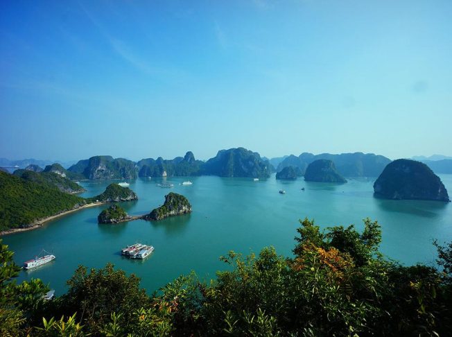 Pelican Cruise Halong Bay