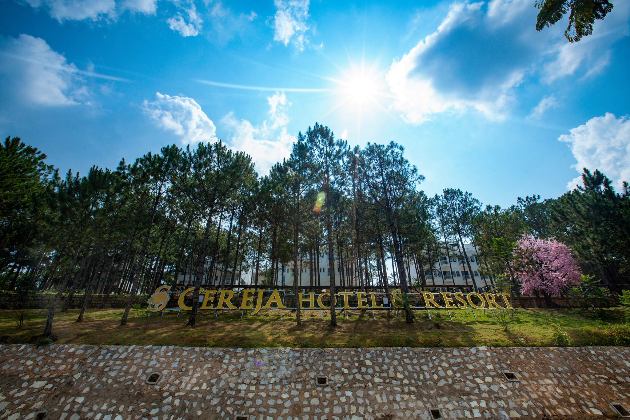 Cereja Hotel Resort Đà Lạt