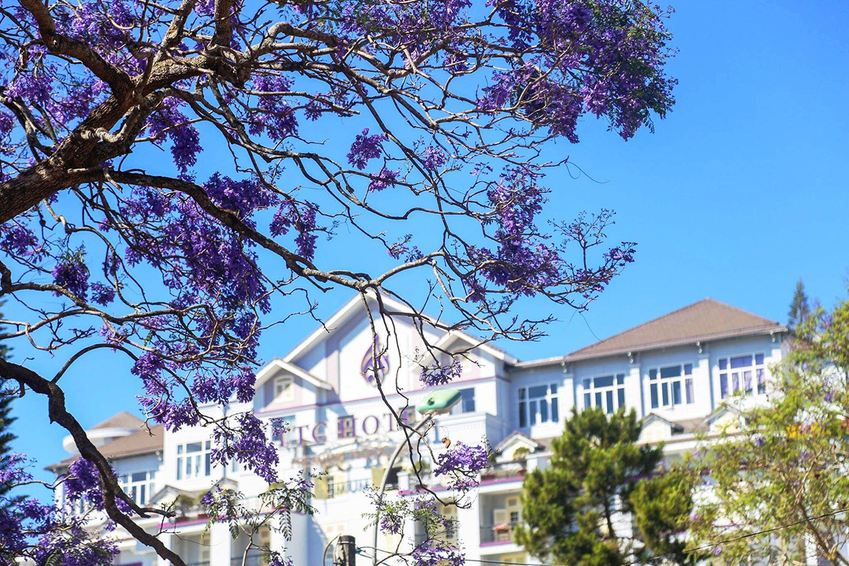 Khách sạn TTC Ngọc Lan 9