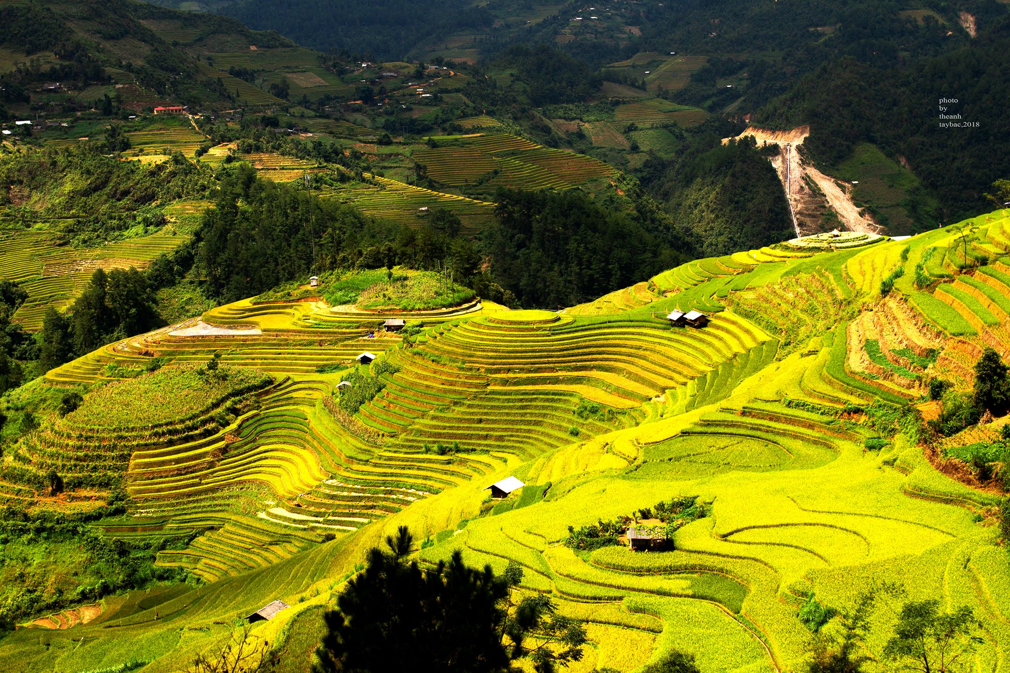 Mù Căng Chải Hoàng Thế Anh