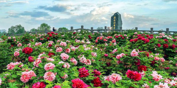 Tây An Lạc Dương Trịnh Châu (6)